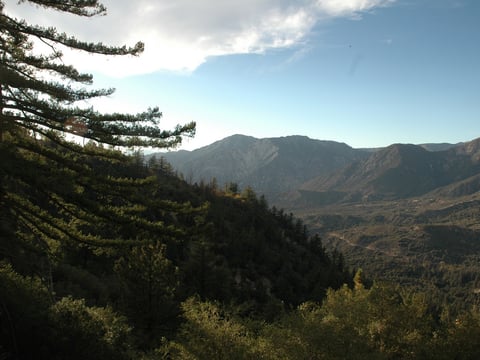 San Bernardino National Forest in October 2009.